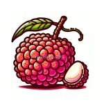 image of lychee coloring