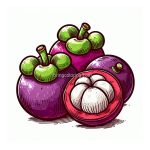 image of mangosteen coloring