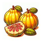 image of quince fruit coloring