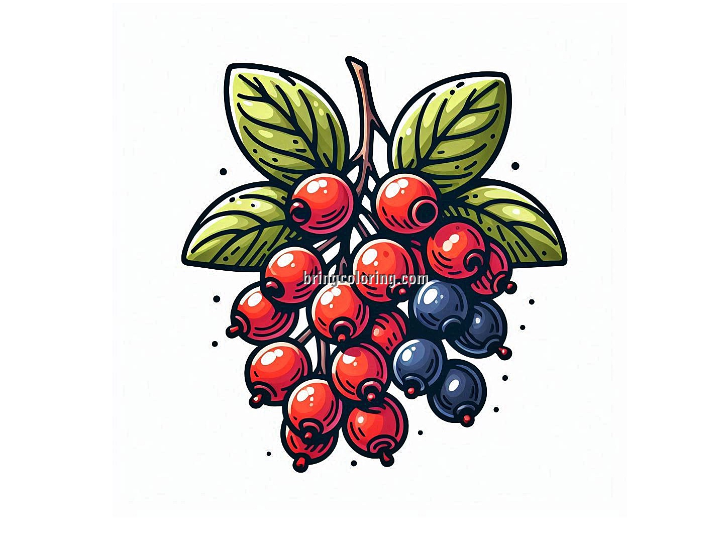 image of salalberry coloring