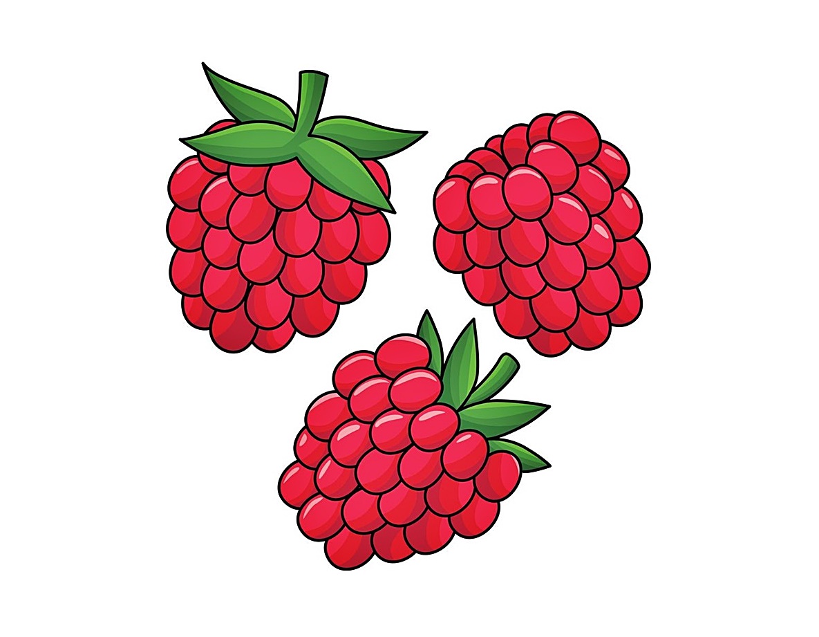 raspberry coloring image