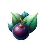 salal berry coloring image