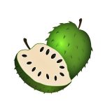 soursop fruit coloring image