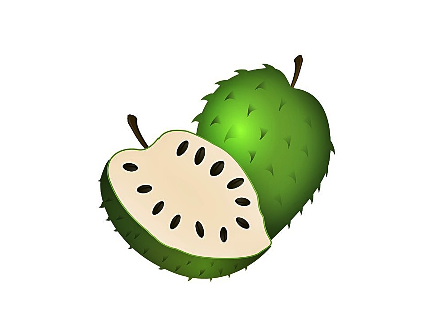 soursop fruit coloring image