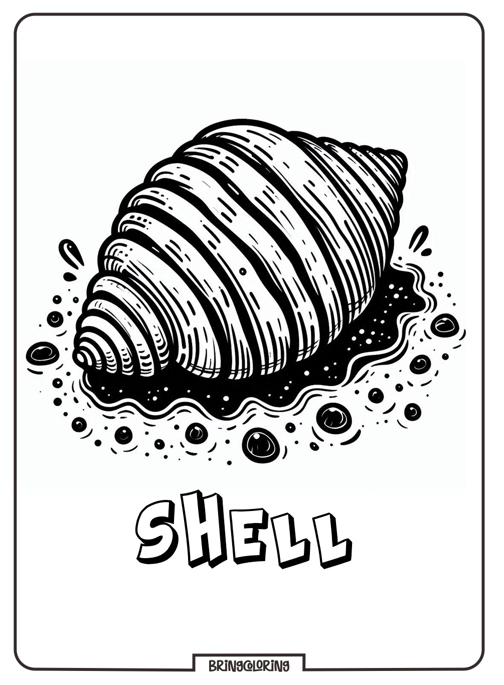 Welcome to our Shell Coloring Pages for Kids! 1 Coloring Page Of A Shell