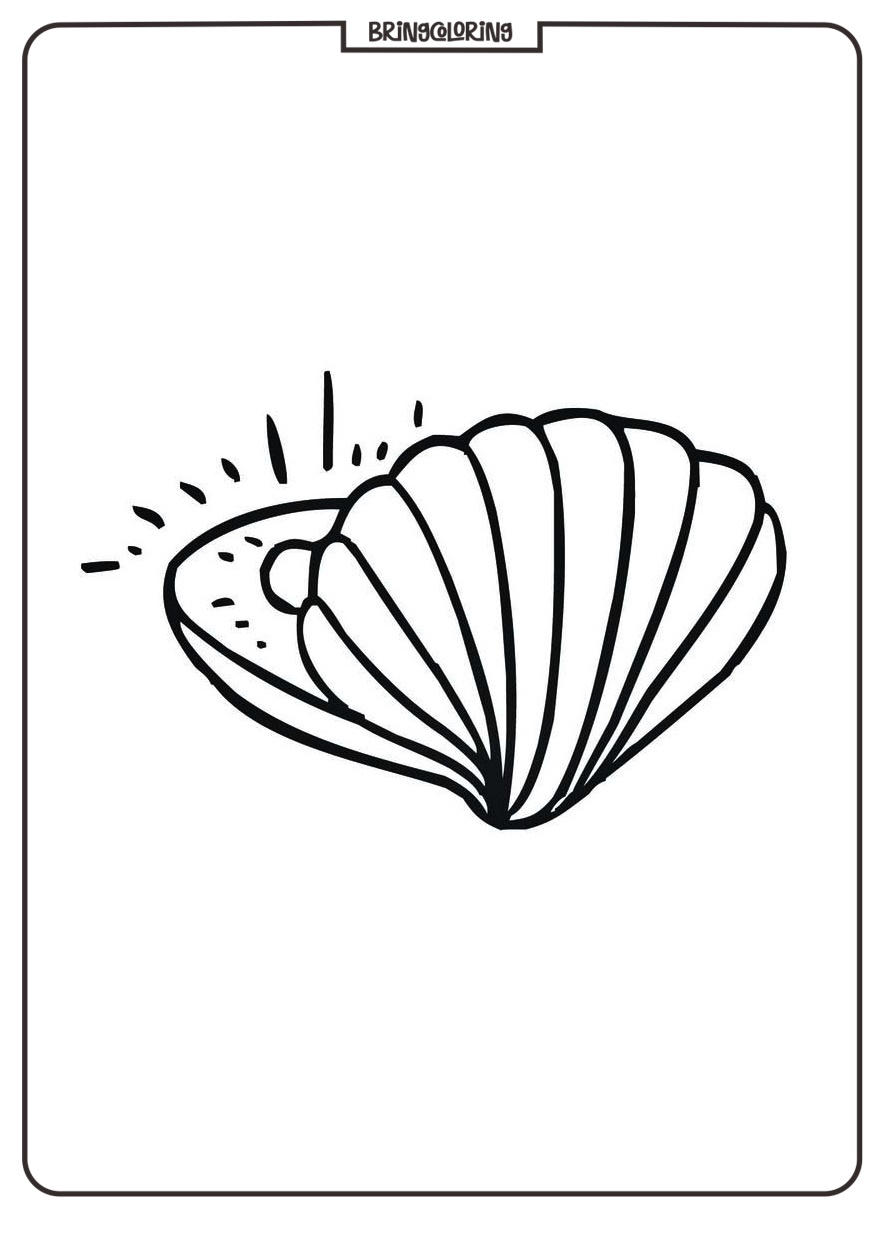 Welcome to our Shell Coloring Pages for Kids! 2 Coloring Pages Of A Shell