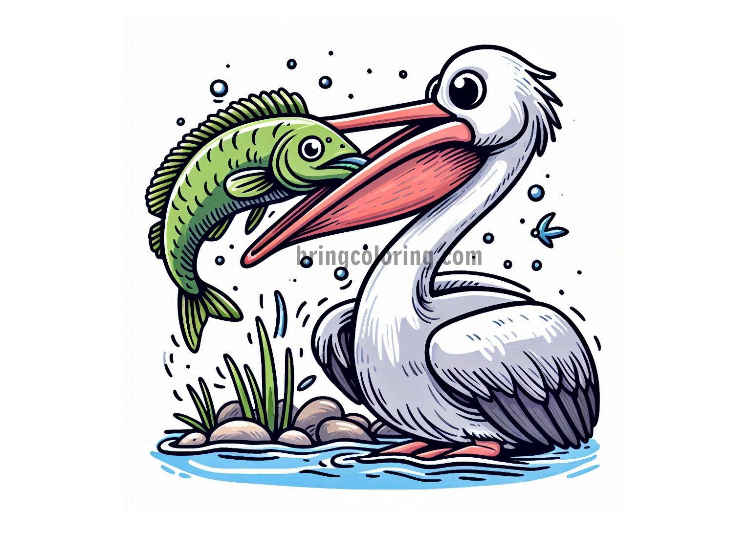 Image of Pelican eat fish coloring