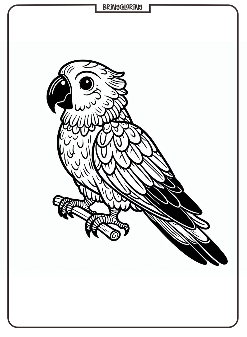 Parrot Coloring Pages for Kids 1 Parrot Bird Coloring Pages for Kids