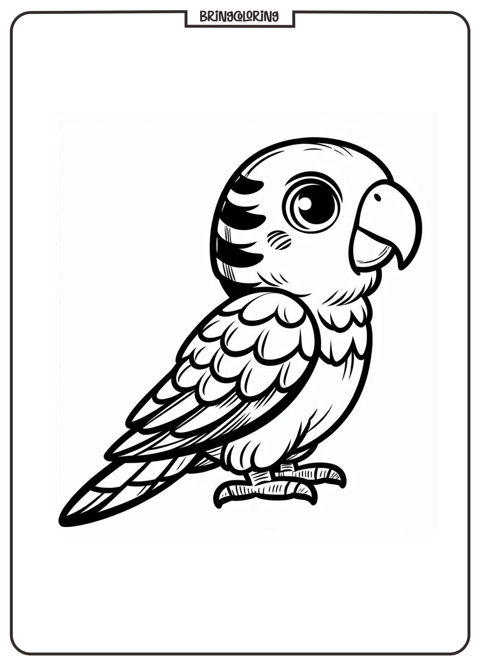 Get Ready for a Burst of Colors with These Parrot Coloring Pages! 3 Parrot Coloring Pages for Kid