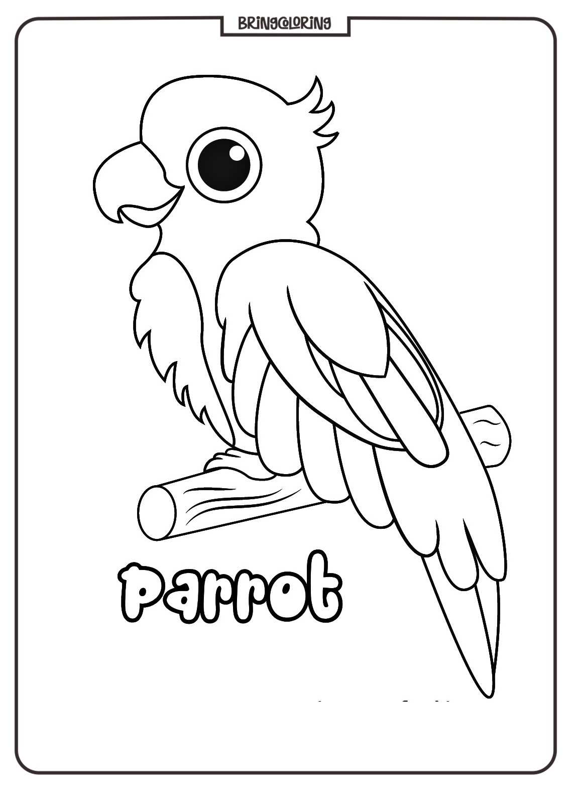 Get Ready for a Burst of Colors with These Parrot Coloring Pages! 4 Parrot Coloring Pages for Kids