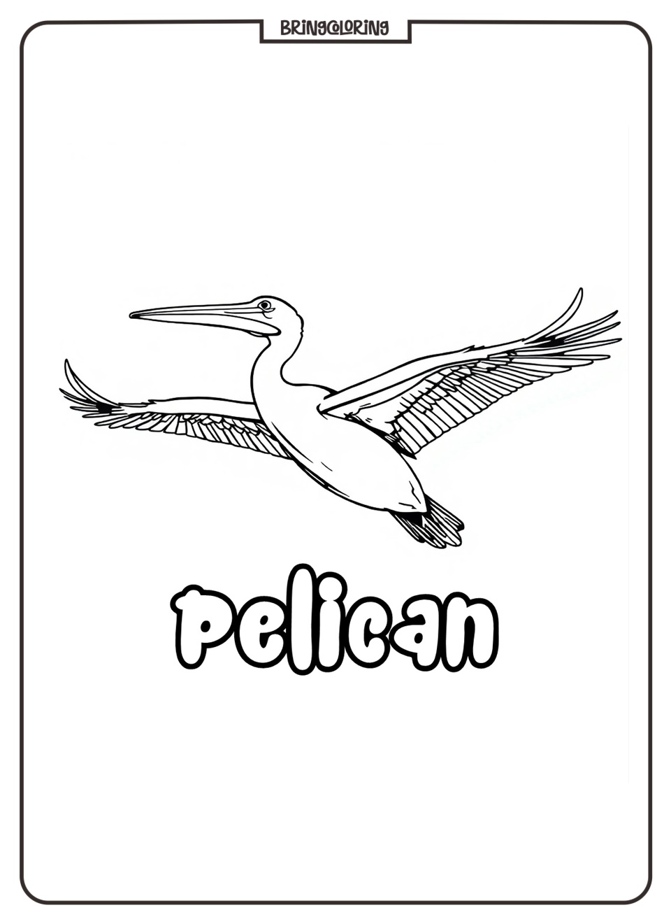 Pelican in Flight Coloring Pages for Kids