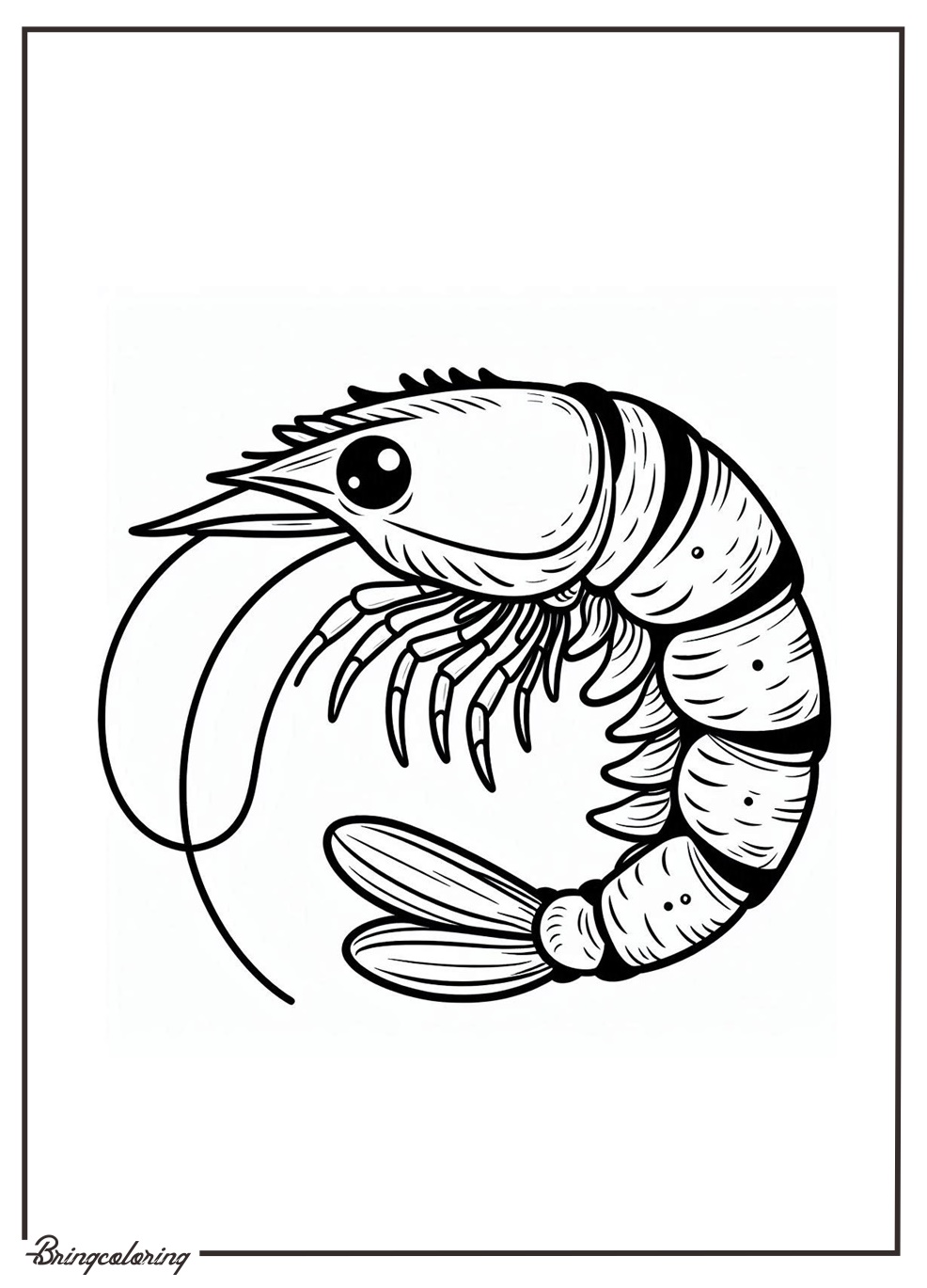 Prawn Coloring Pages for Kids 4 Prawn Coloring Pages for Kids