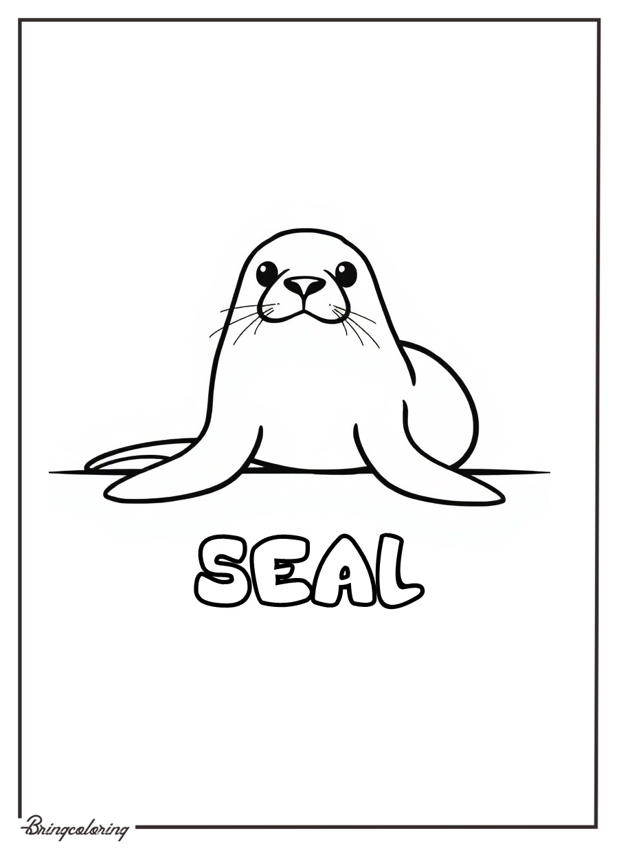 Seal Coloring Pages for Kids 2 Seal Coloring Page for Kids