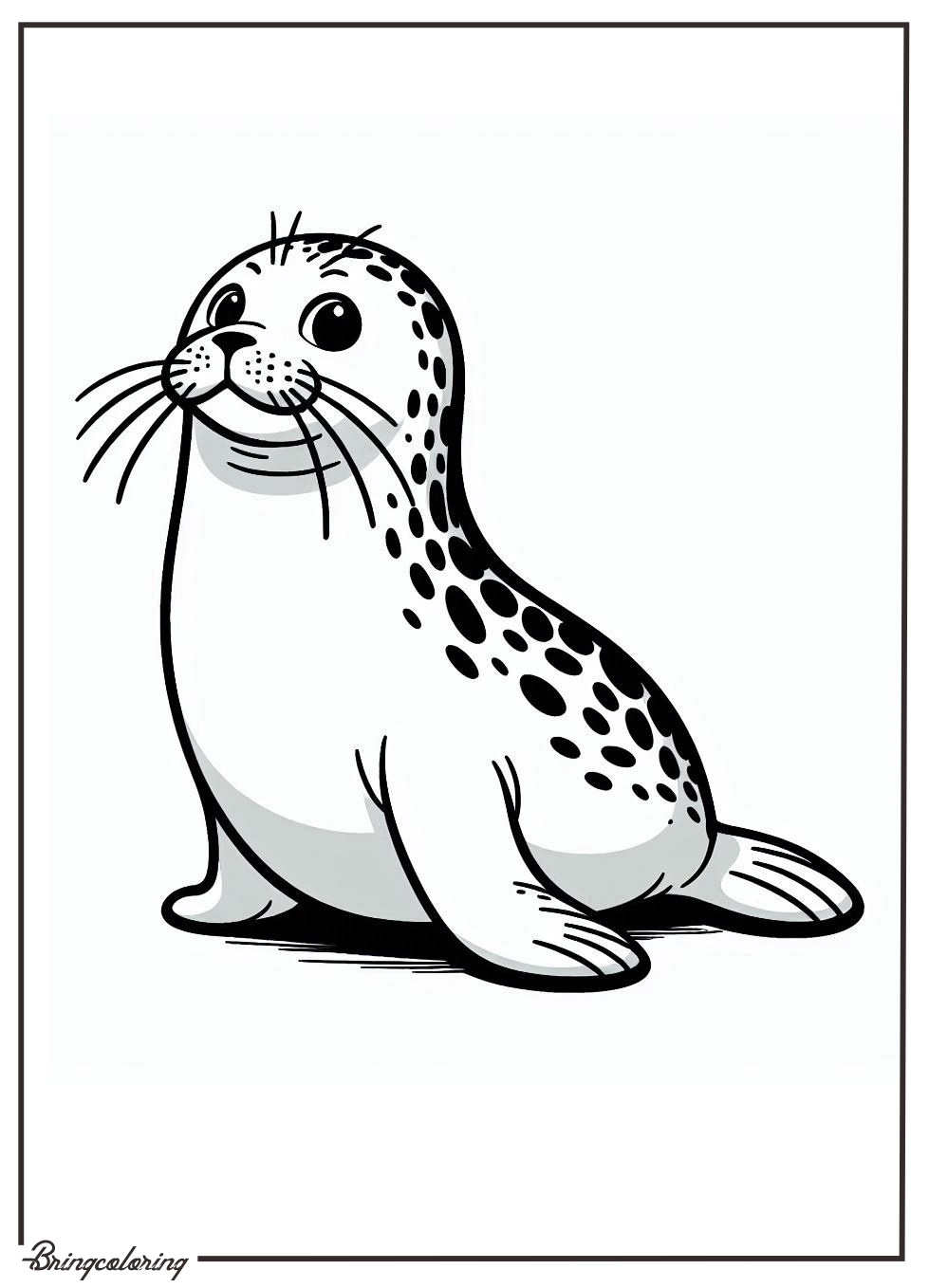Seal Coloring Pages for Kids 3 Seal Coloring Pages for Kids
