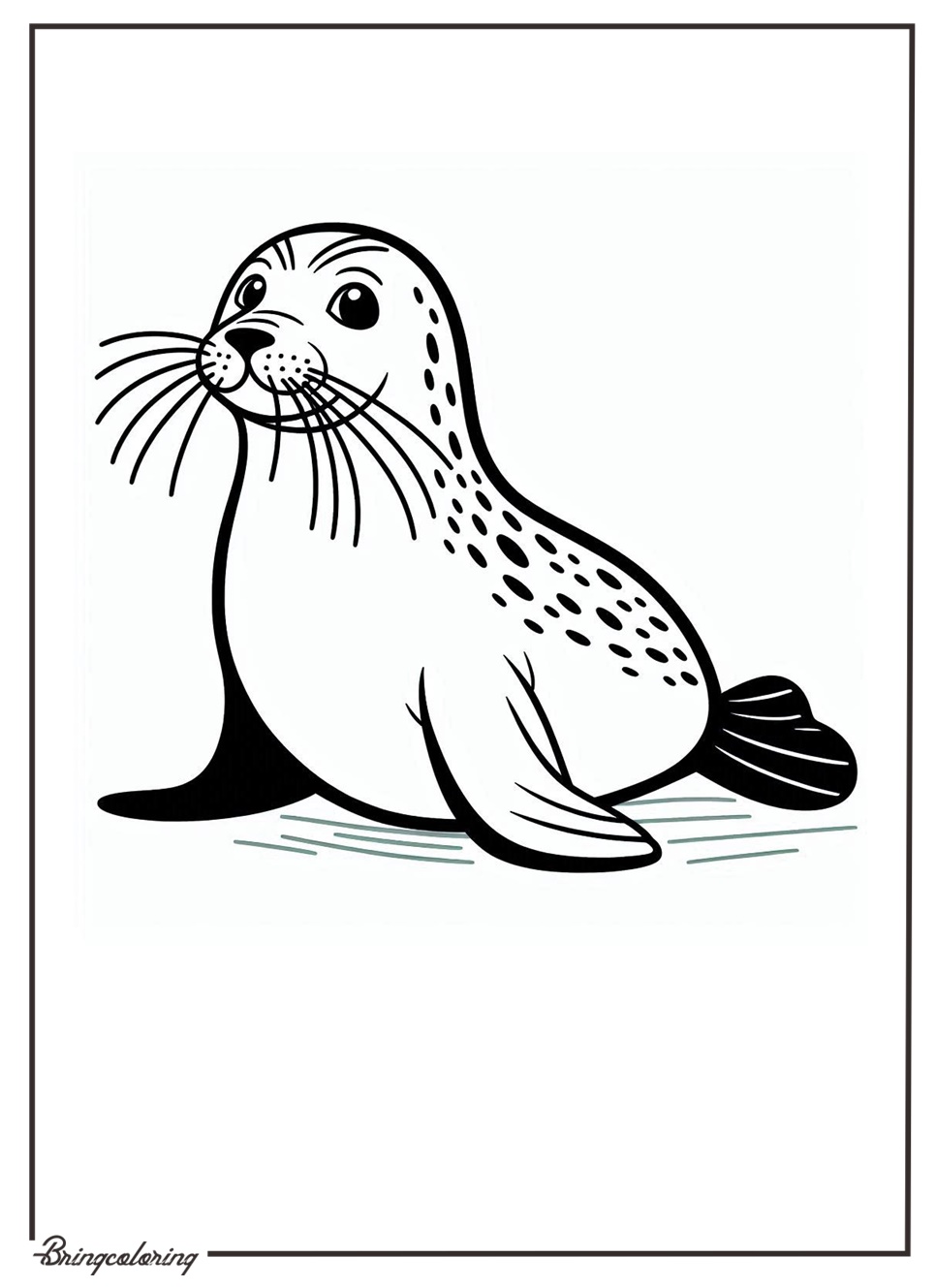 Seal Coloring Pages for Kids 4 Seal Coloring Pages