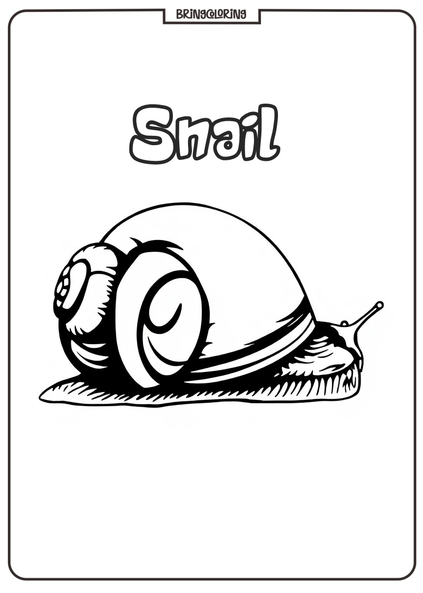Snail Coloring Pages for Kids 2 Snail Coloring Pages for Kids
