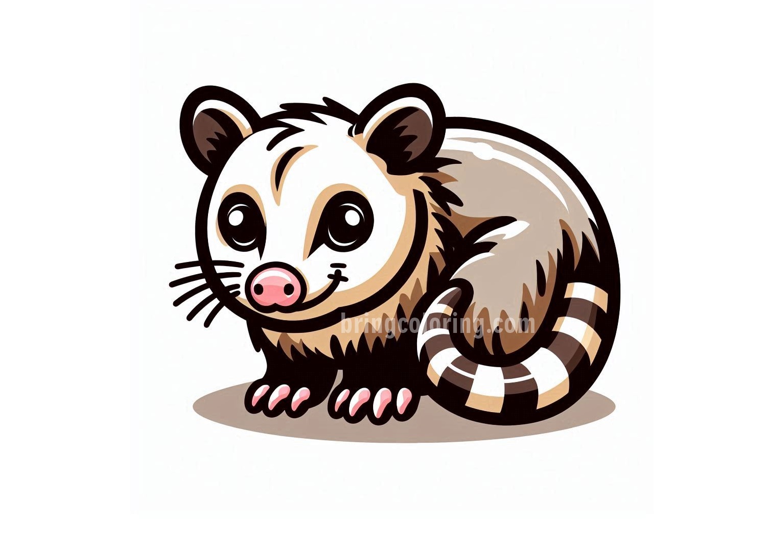 Adorable Possum Coloring Fun 3 image is possum coloring