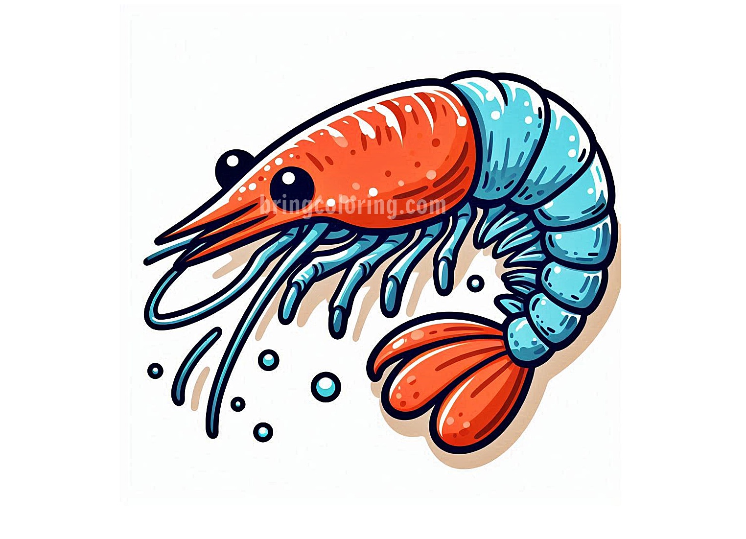 Prawn Coloring Pages for Kids 1 image of prawn coloring