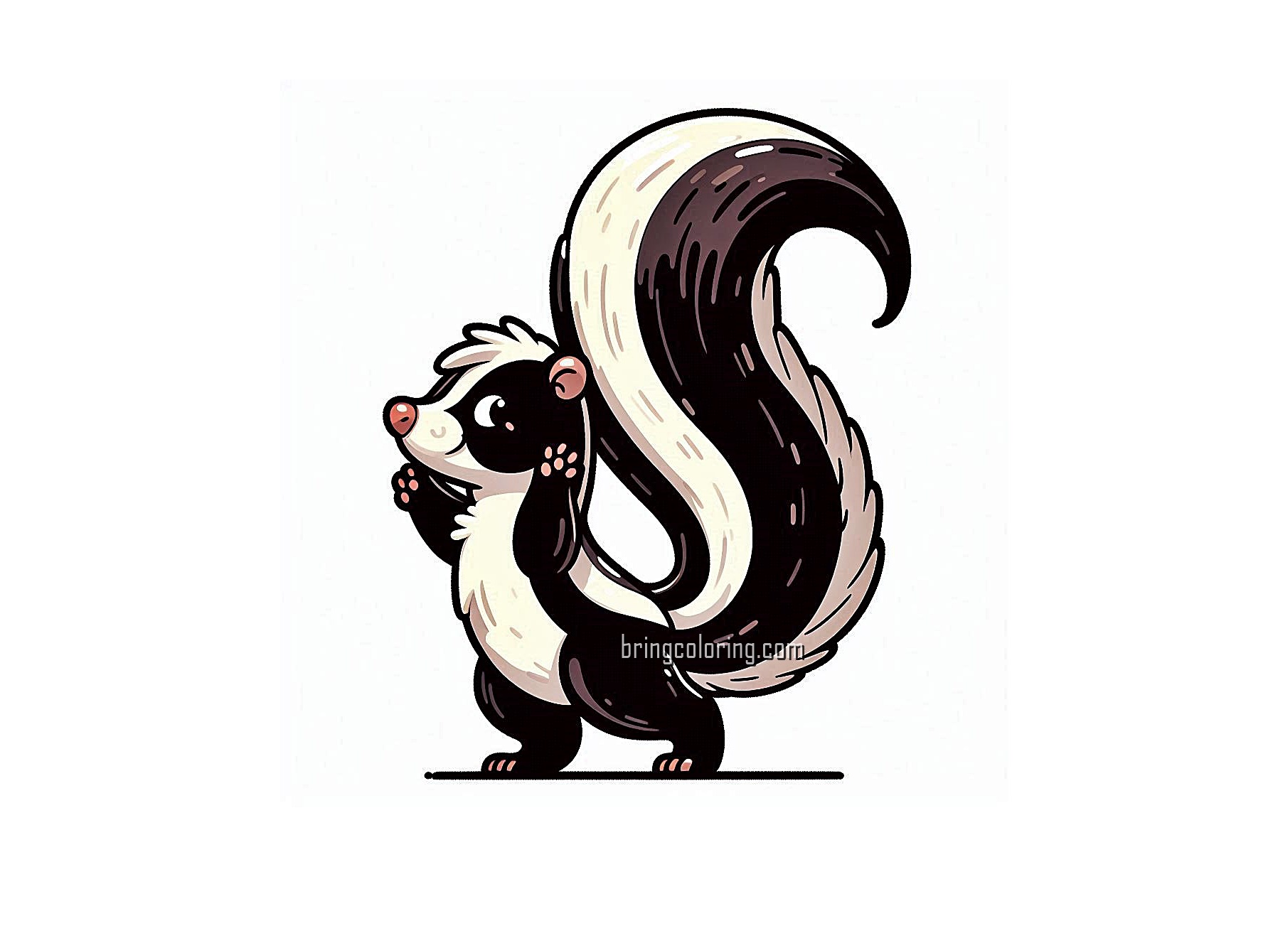 Welcome to our Skunk Coloring Pages for Kids! 1 image of skunk coloring