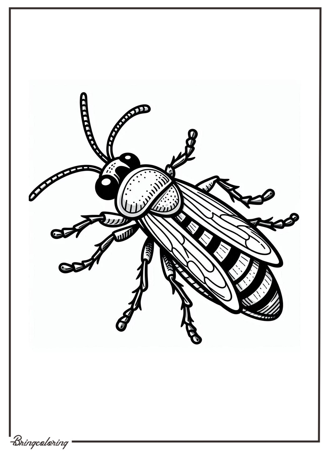 Insect Coloring Pages for Kids 2 insect coloring image to color