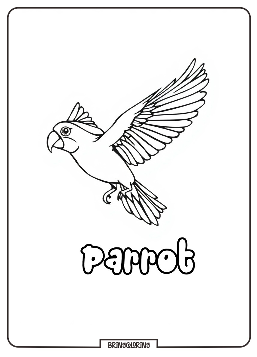 Let's Color a Flying Parrot 4 parrot in flight coloring pages