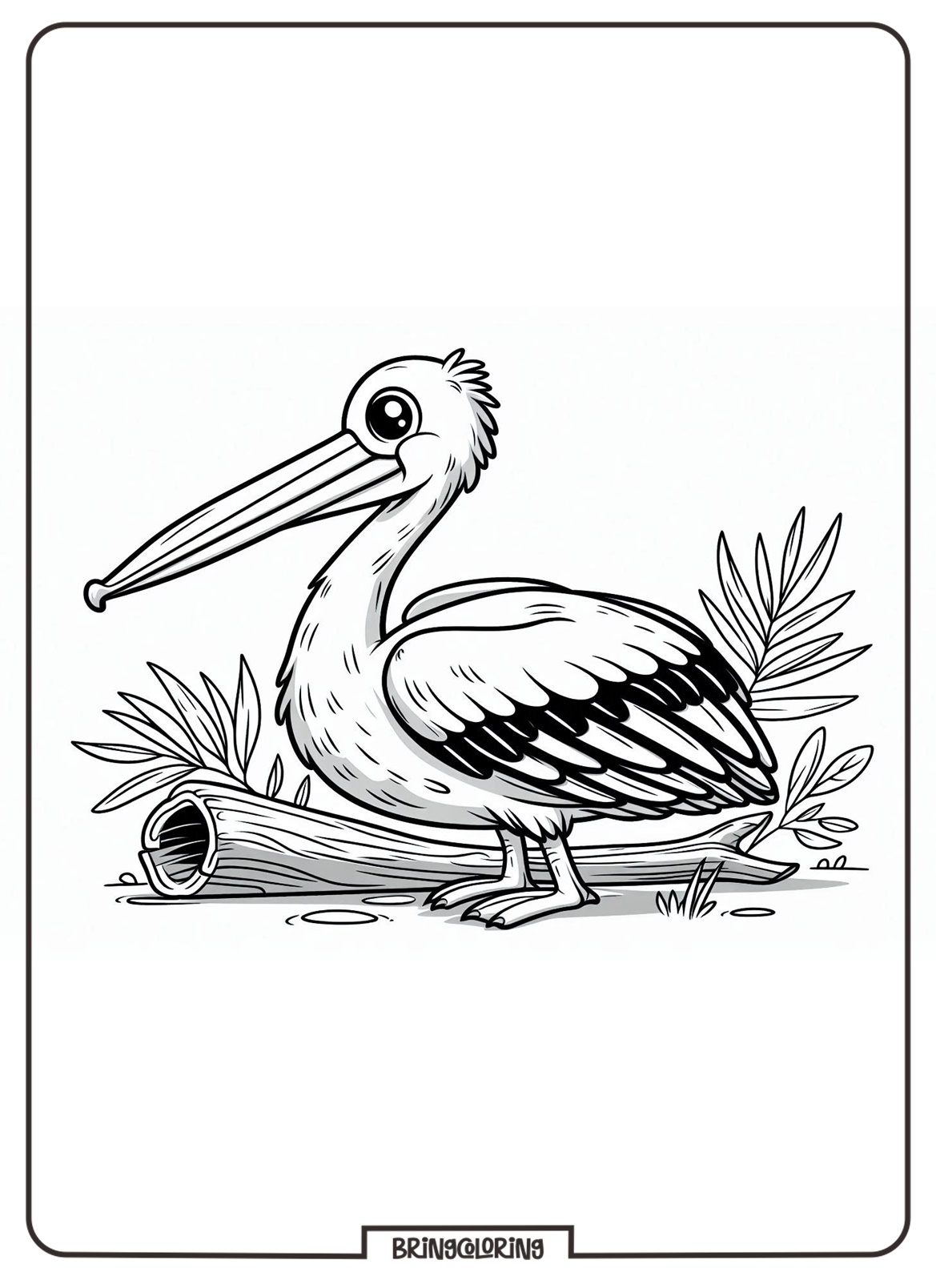 Pelican Coloring Pages for Kids 1 pelican bird coloring page