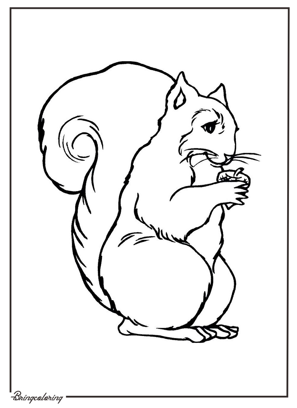 Welcome to our Skunk Coloring Pages for Kids! 4 skunk coloring pages printable