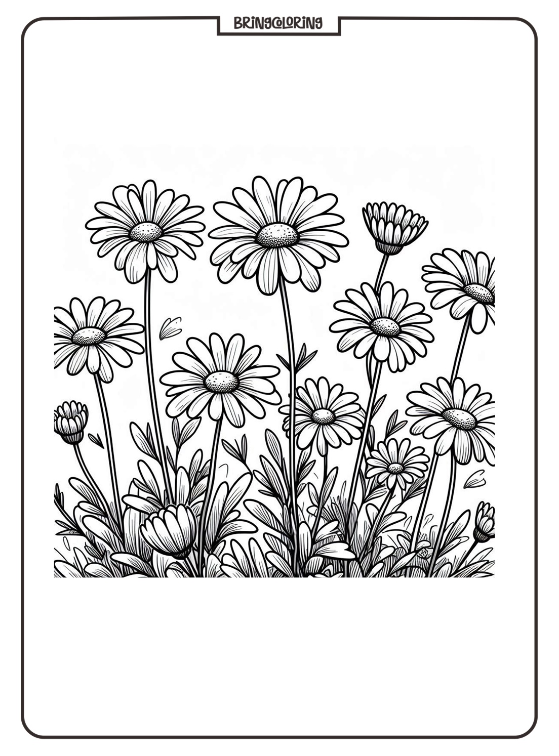 Daisy Coloring Pages for Kids 1 daisy coloring online page bringcoloring.com
