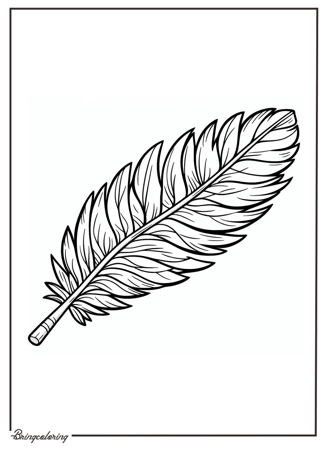 Feather Coloring Pages for Kids 1 feather coloring online page for kid