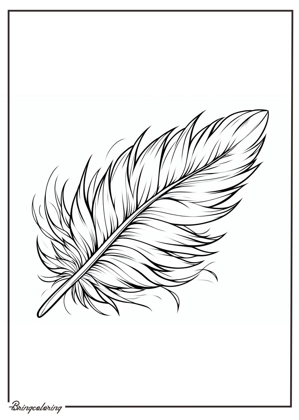 Feather Coloring Pages for Kids 3 feather coloring online pages for kids