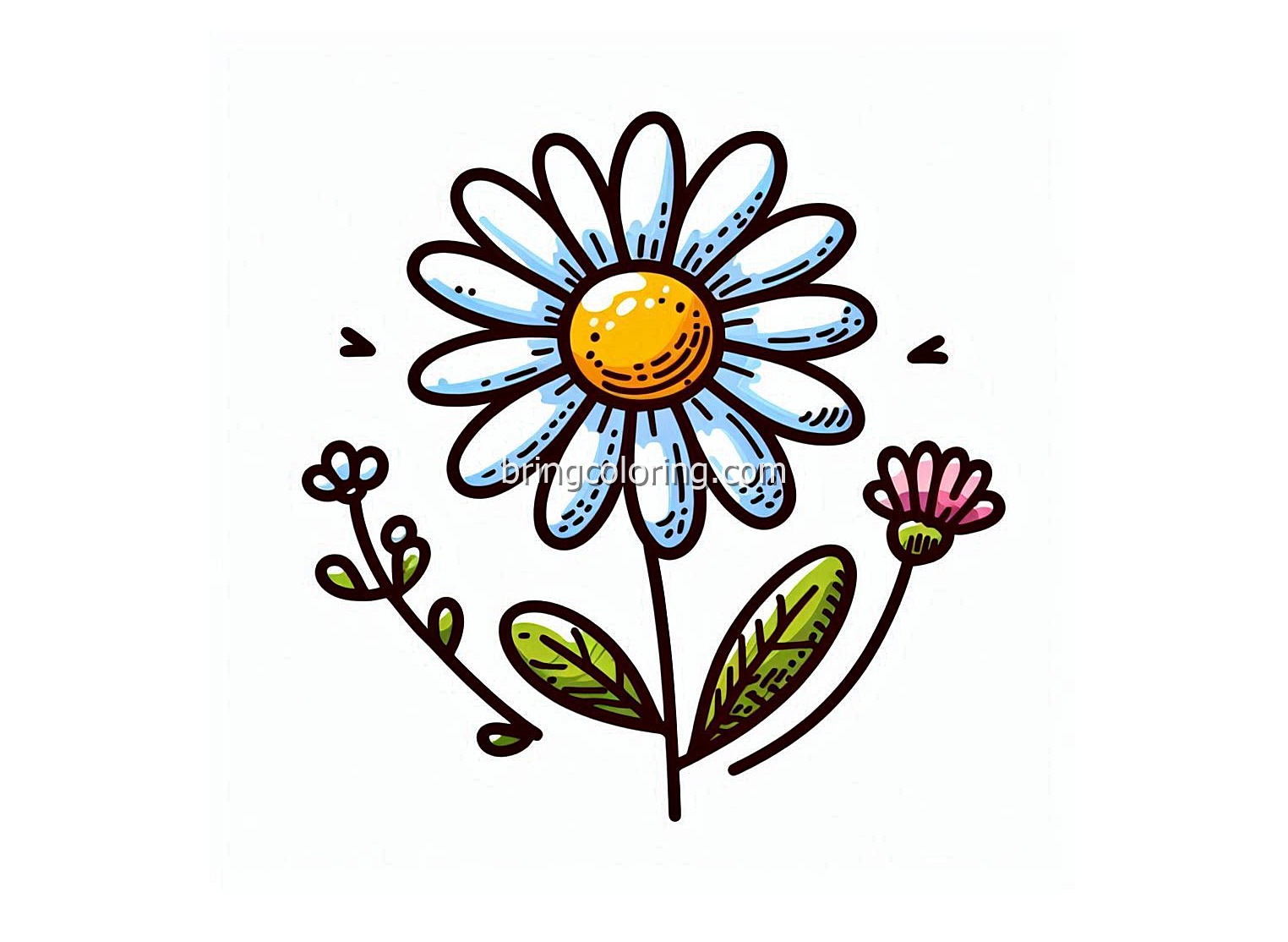 Daisy Coloring Pages for Kids 4 image of daisy coloring