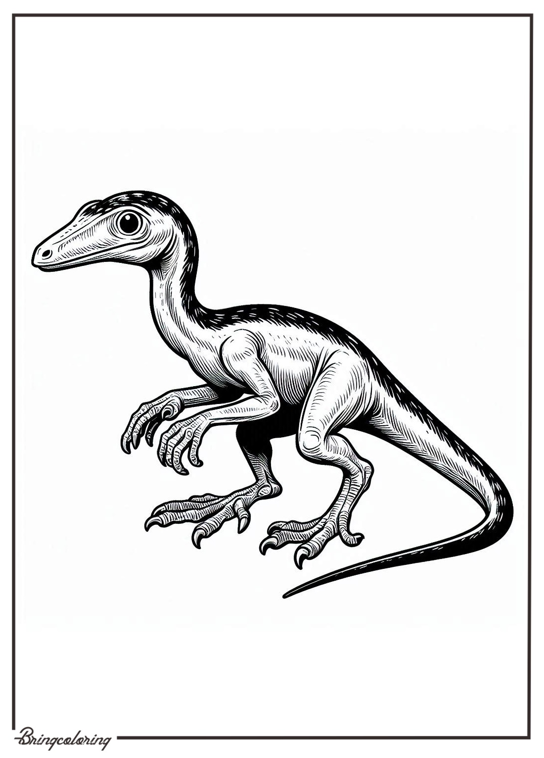 Little Dino Compsognathus Coloring Pages for Kids 1 Compsognathus Coloring Page bringcoloring.com