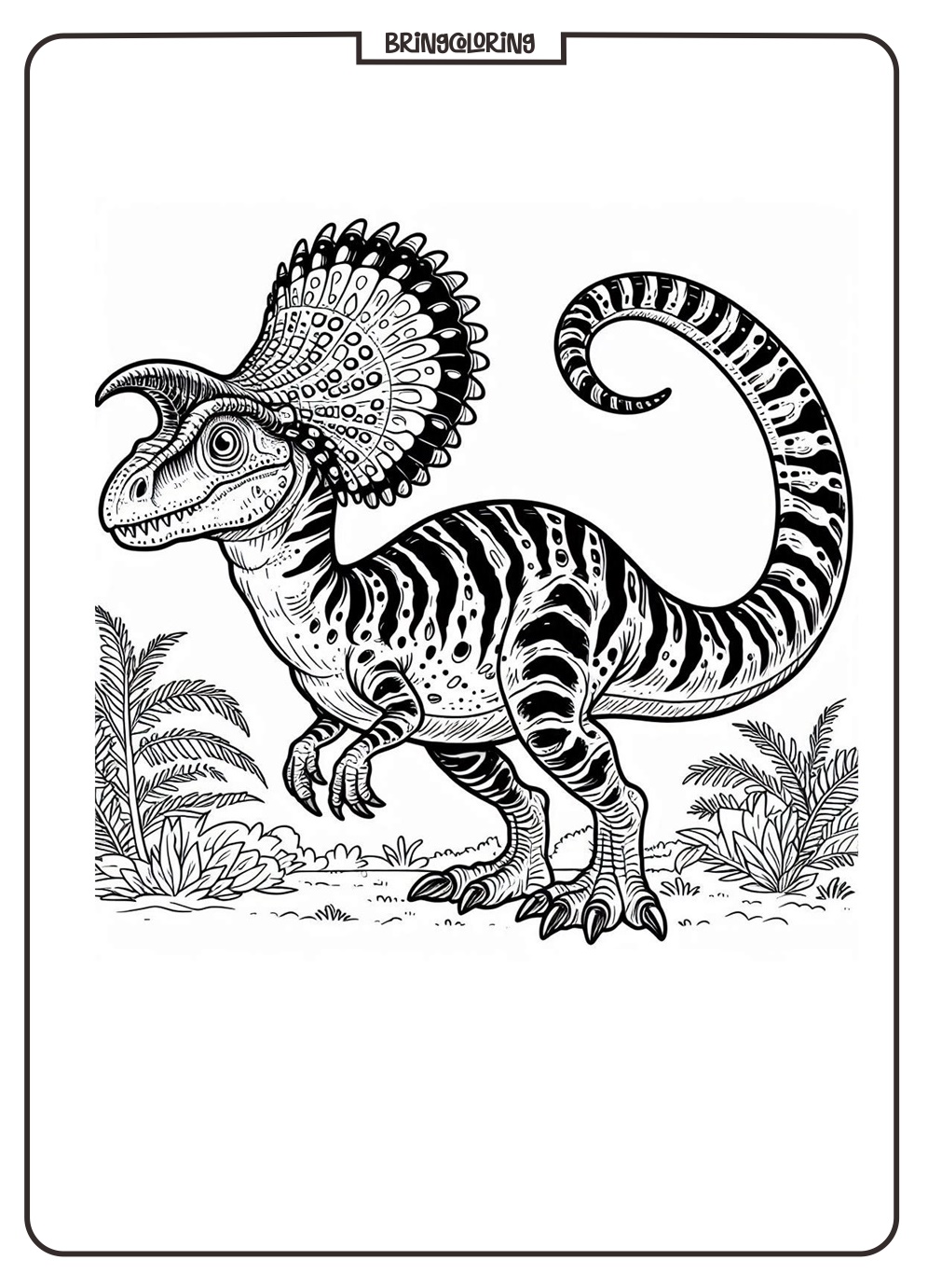 Dilophosaurus Coloring Pages Dinosaurs for Kids bringcoloring.com