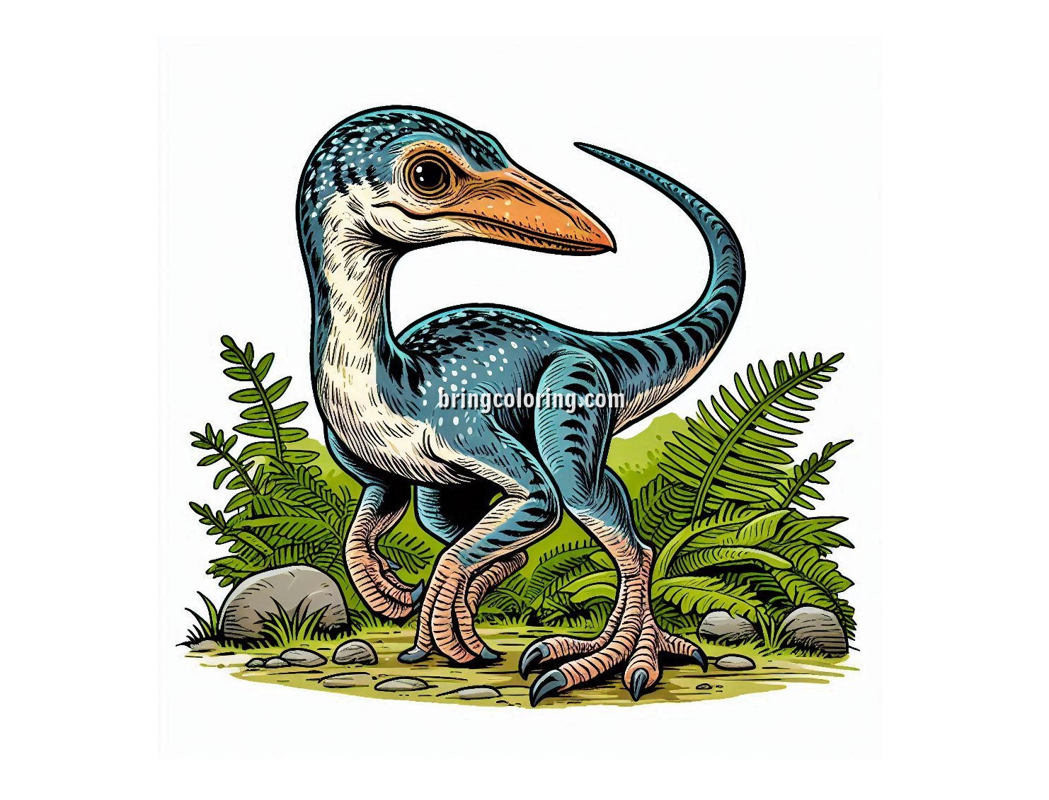 Little Dino Compsognathus Coloring Pages for Kids 3 Image of Compsognathus Coloring Pages