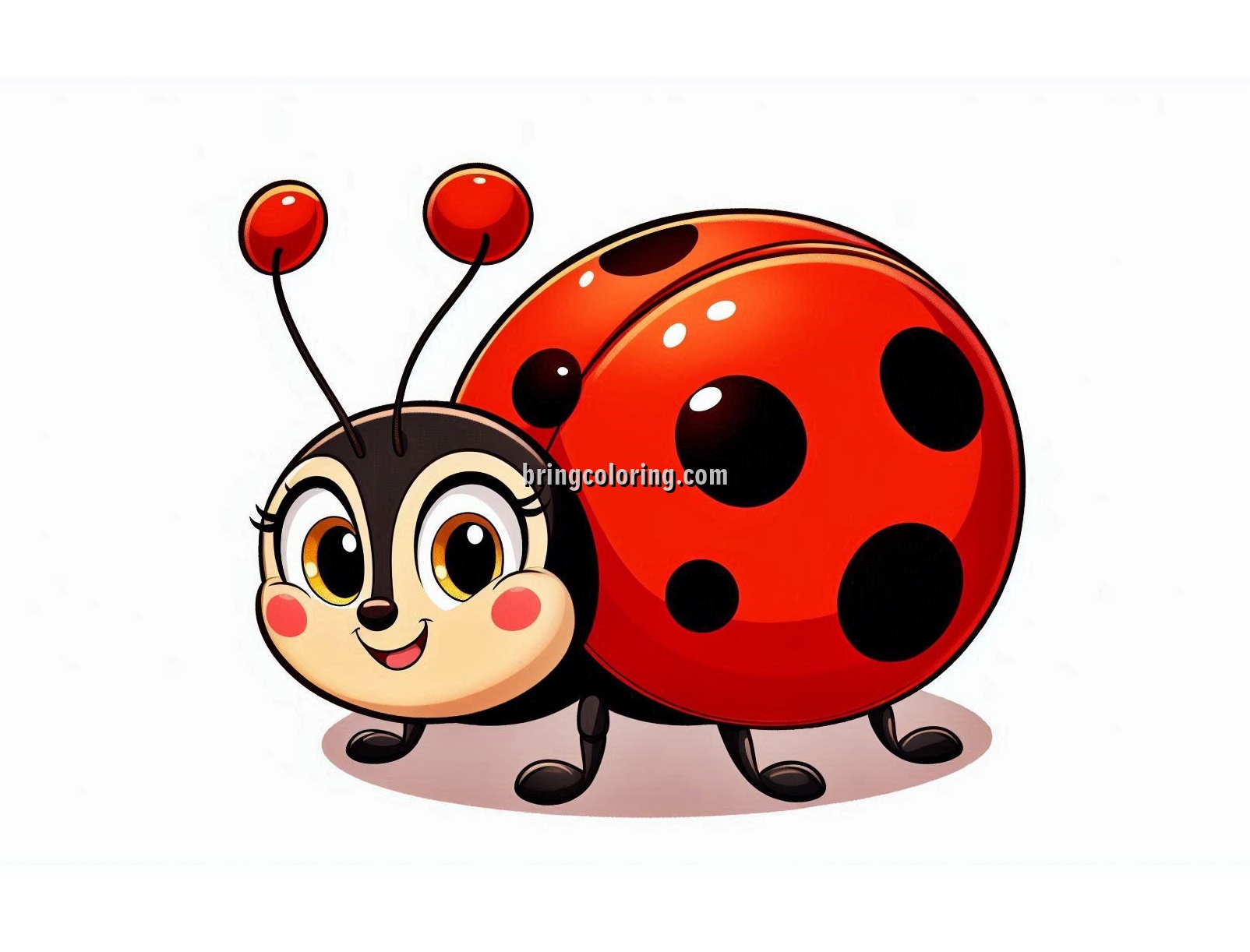 image of ladybbug coloring pages
