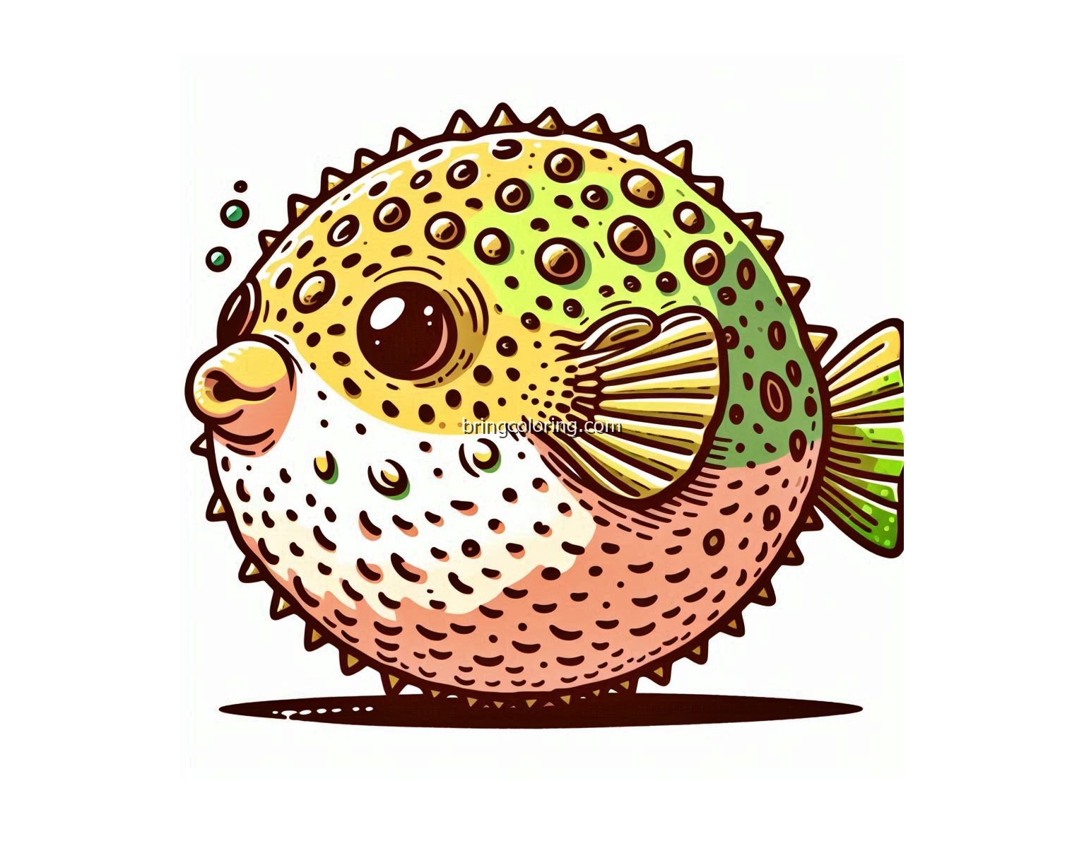 puffer fish coloring image bringcoloring.com