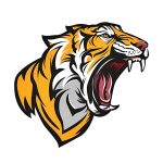Angry Tiger Head Coloring Image