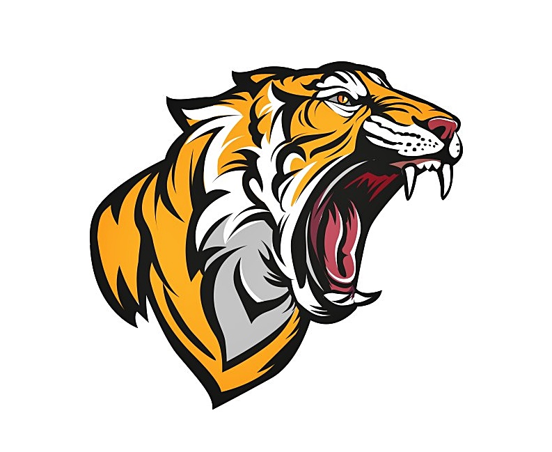 Angry Tiger Head Coloring Image