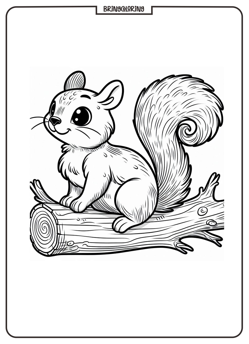 Animal Squirrel Coloring Page for Kid