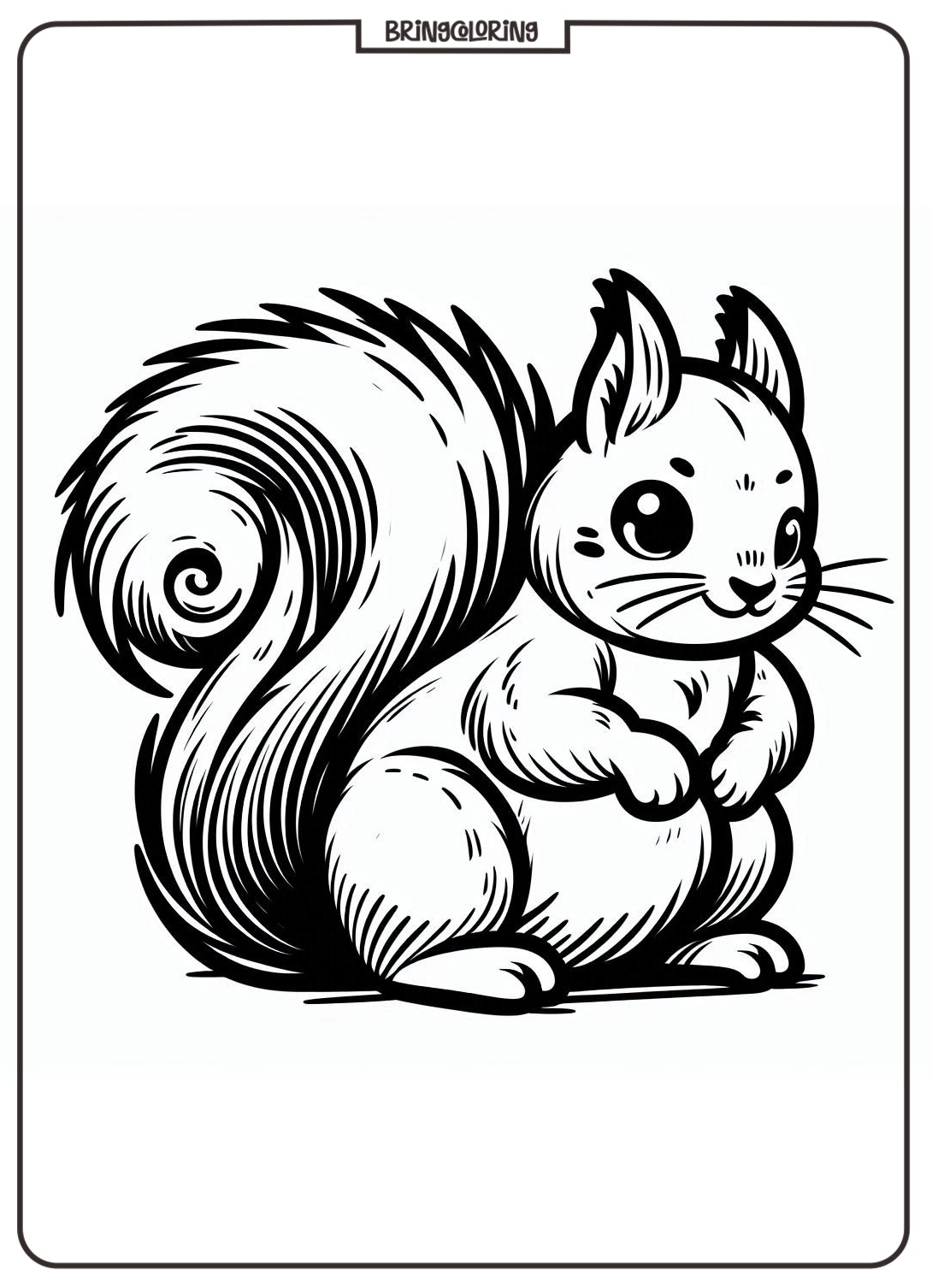 Animal Squirrel Coloring Pages for Kids