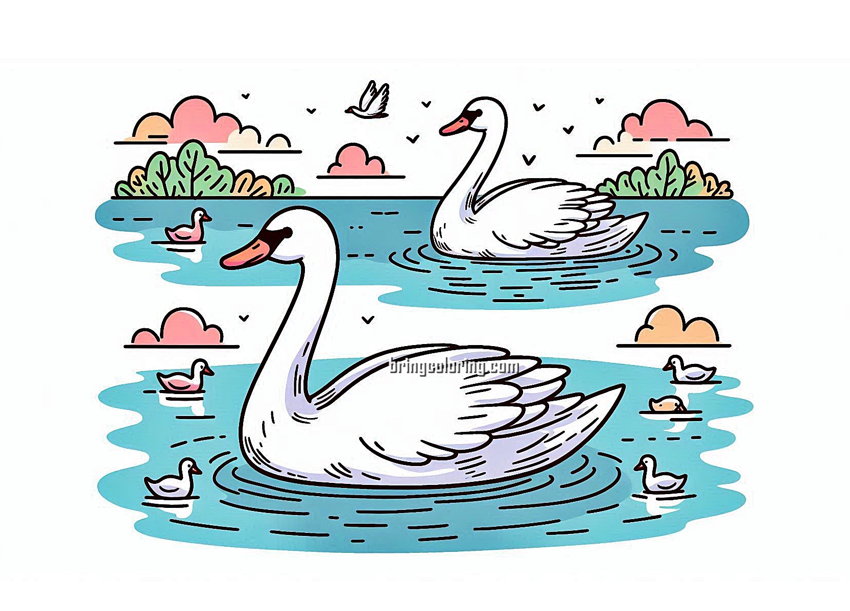 Animal Swan Coloring Image