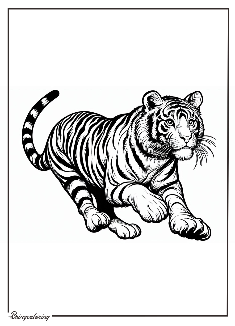 Animal Tiger Coloring Pages for Kids