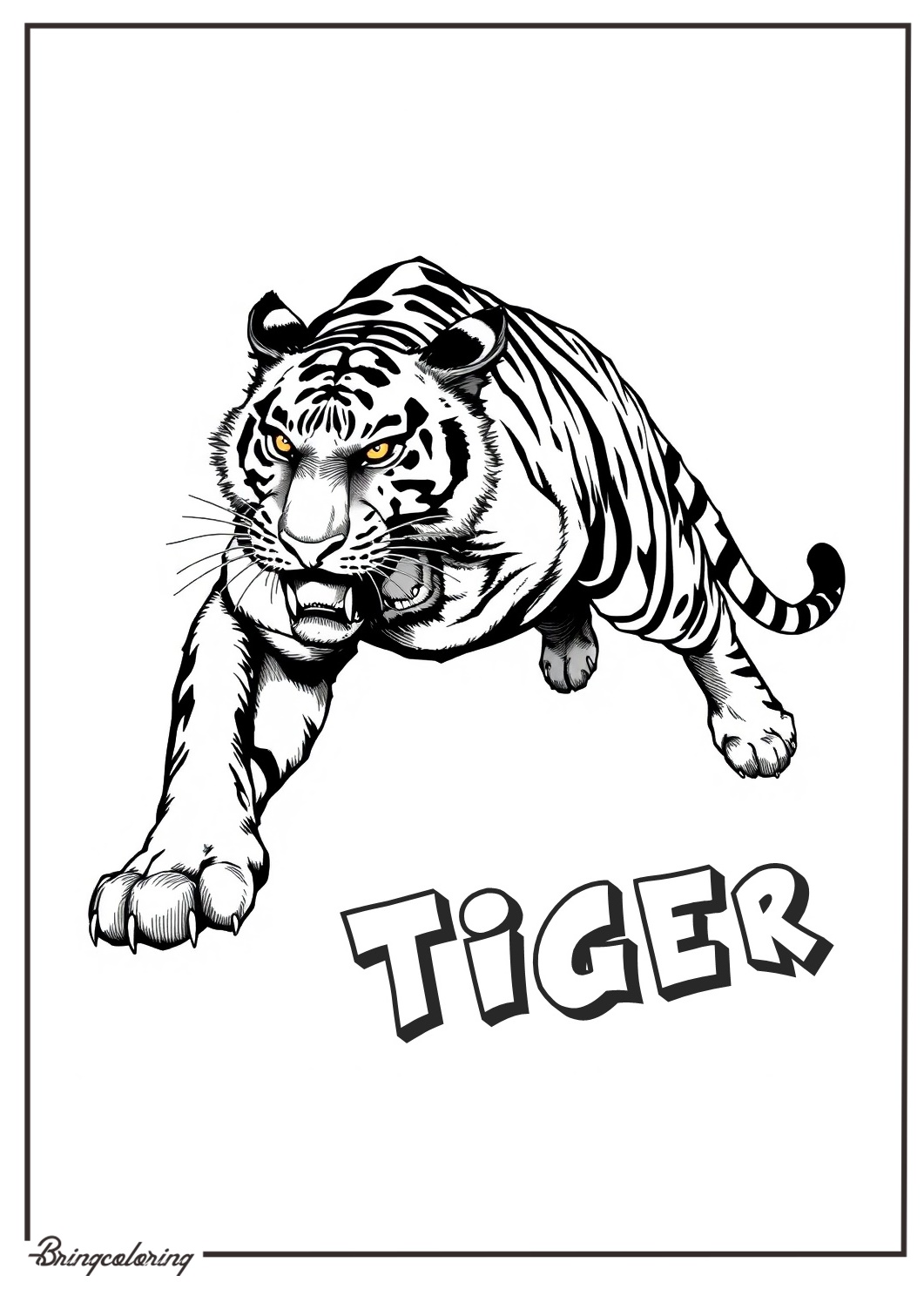 Animal Tiger Coloring Pages