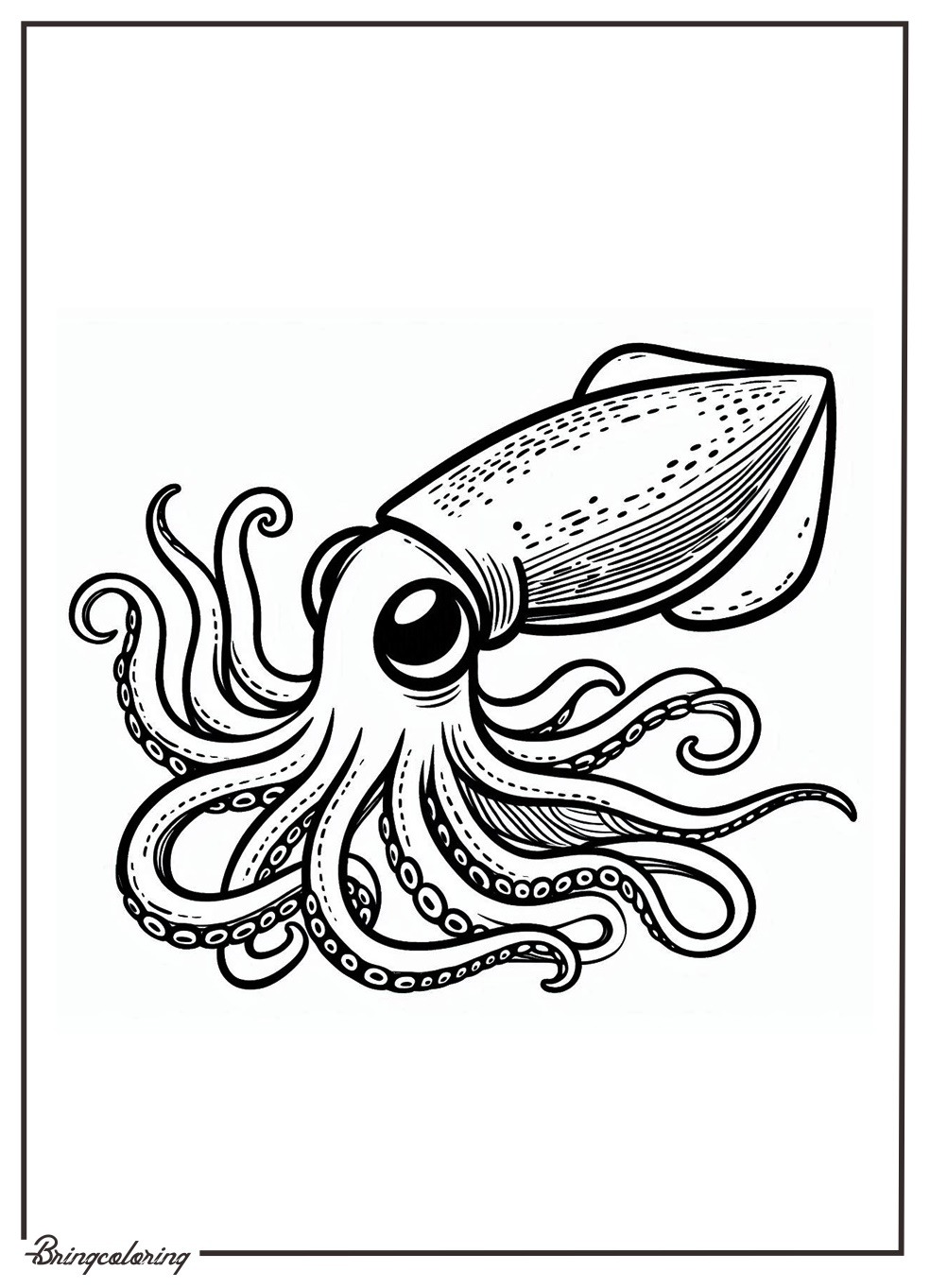Squid Coloring Pages for Kids