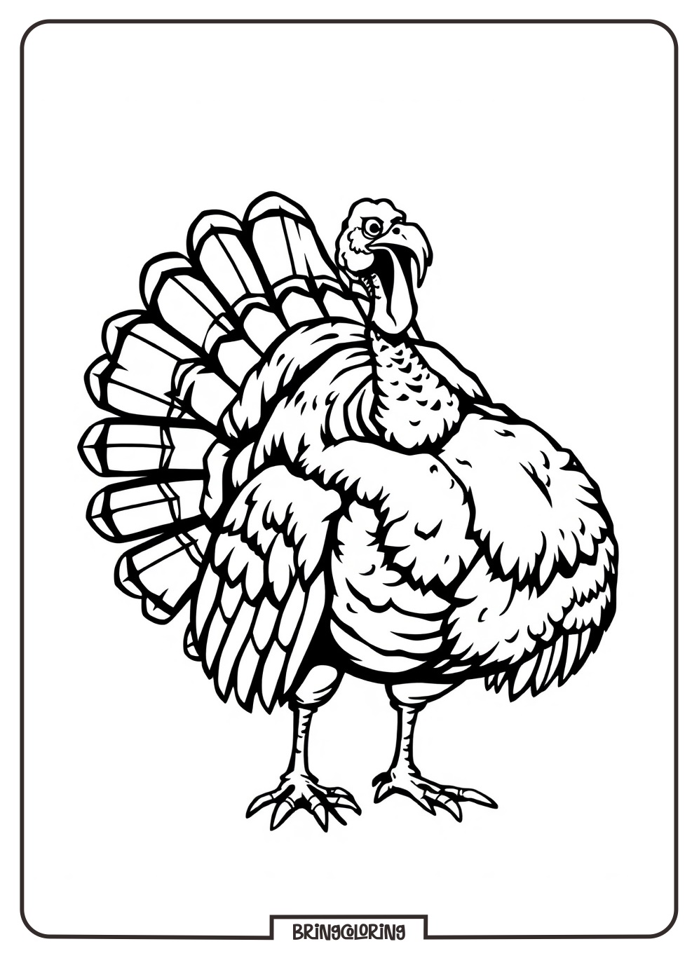 Turkey Bird Coloring Pages for Kids