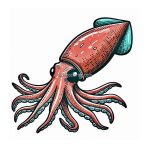 image of squid coloring bringcoloring.com