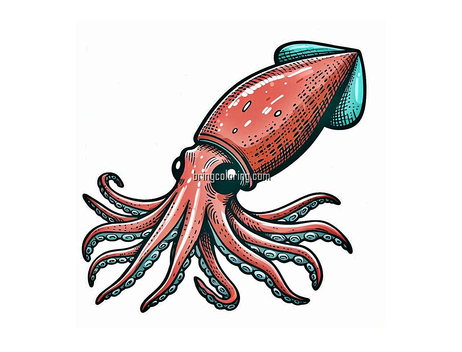 image of squid coloring bringcoloring.com