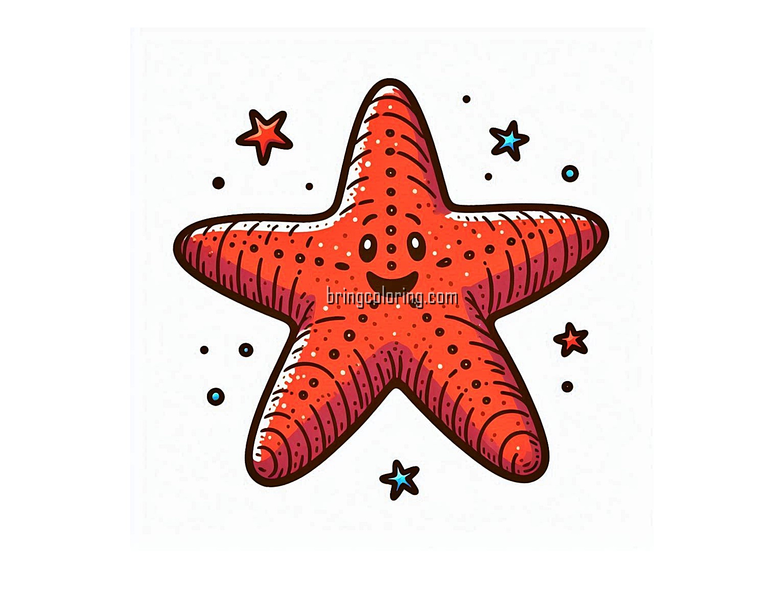 image of starfish coloring