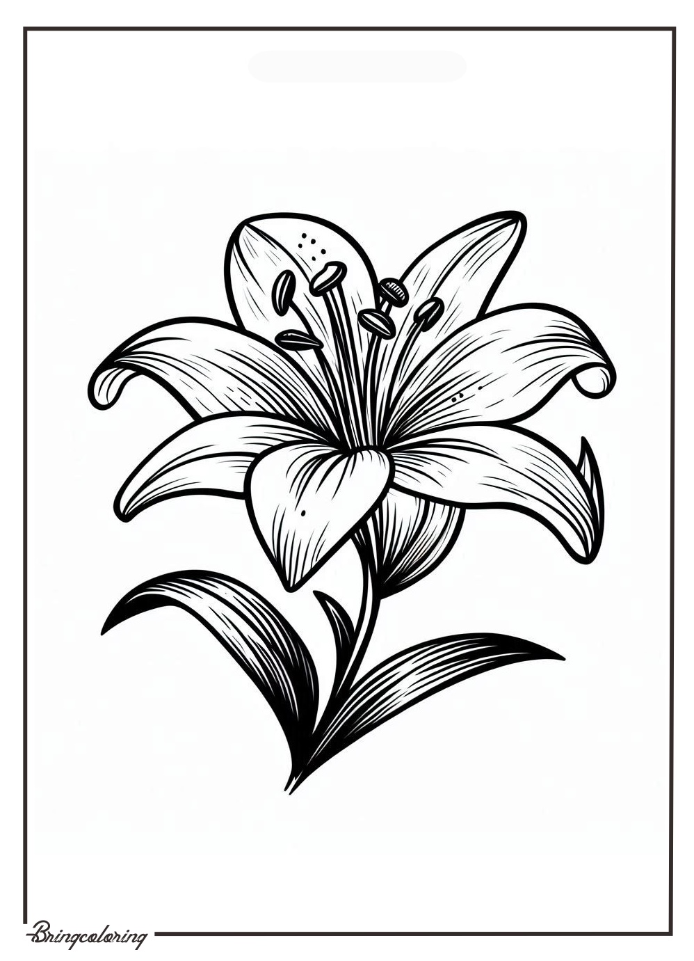Lily Flower Coloring Online Page bringcoloring.com