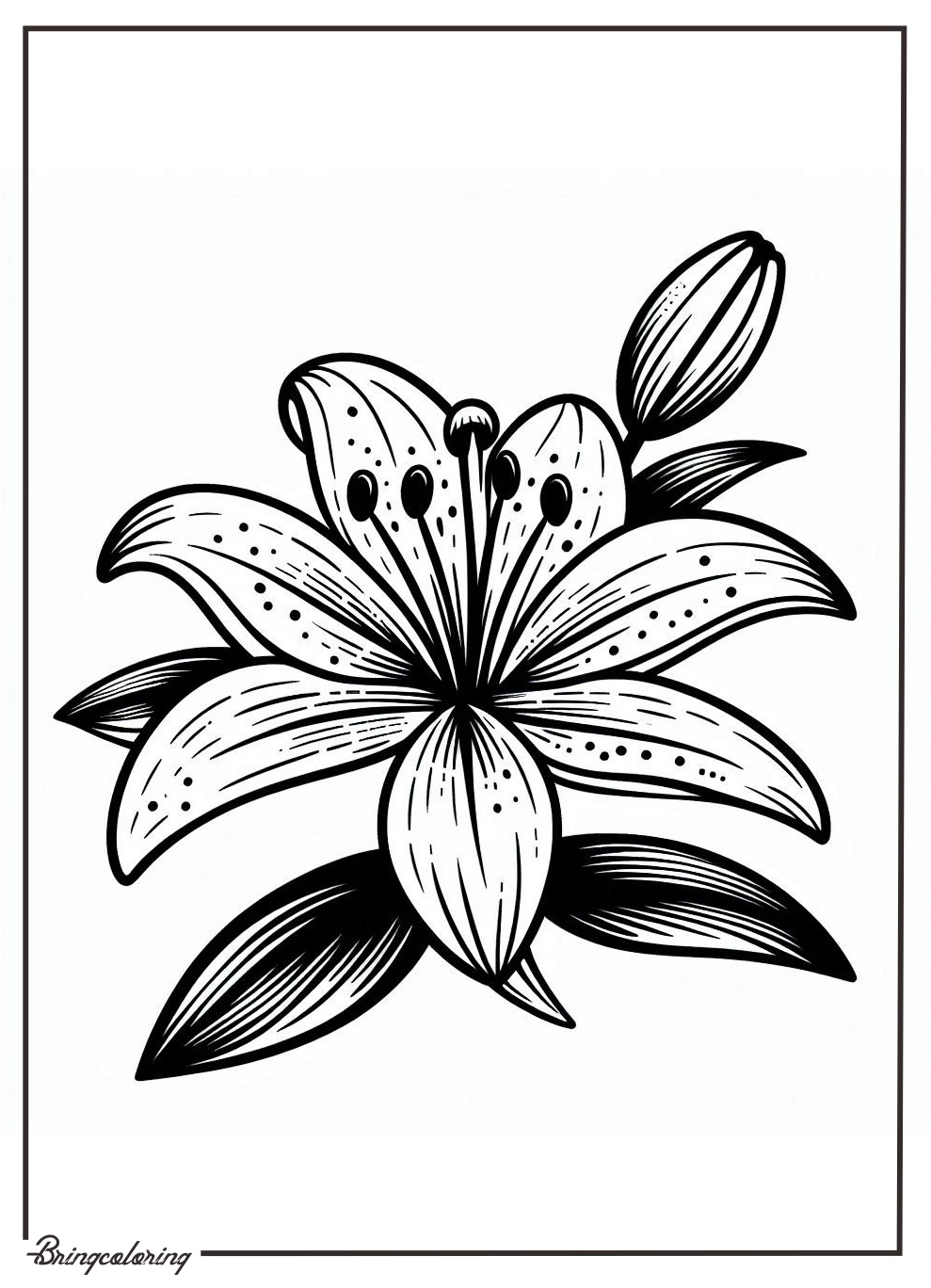 Lily Flower Coloring Online Pages bringcoloring.com